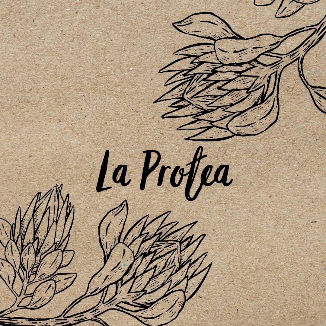 La Protea logo
